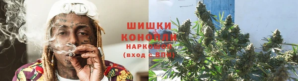 крисы Наволоки