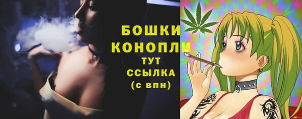 дурь Надым