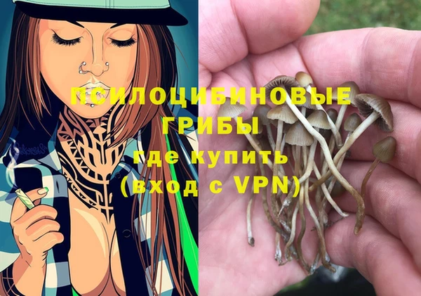 дурь Надым