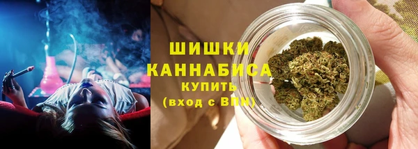 крисы Наволоки