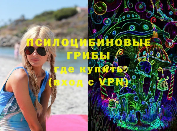 дурь Надым