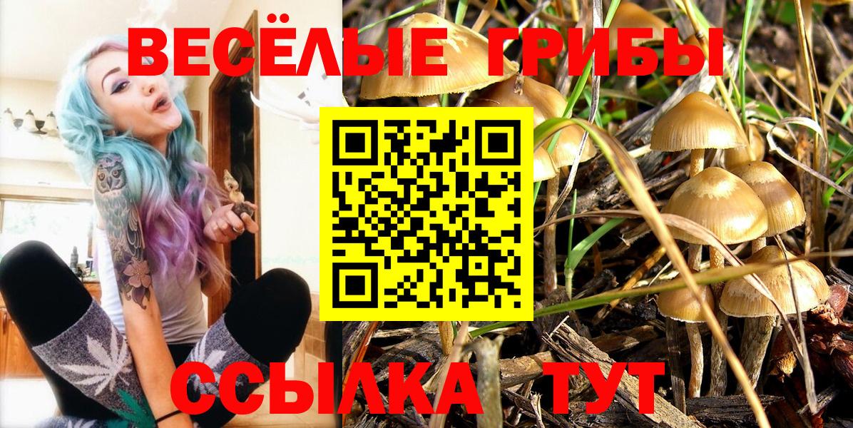 Галлюциногенные грибы MAGIC MUSHROOMS Кинель